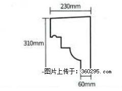 产品分解图型 - 檐口线，型号：SX311-YK-3，规格：230x310mm(3) - 广州三象EPS建材 gz.sx311.cc